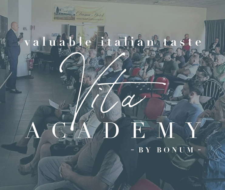 Vita Academy